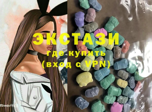 индика Анжеро-Судженск